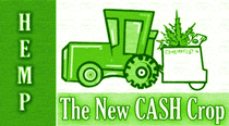 industrial hemp, aka "the new cash crop", in Colorado